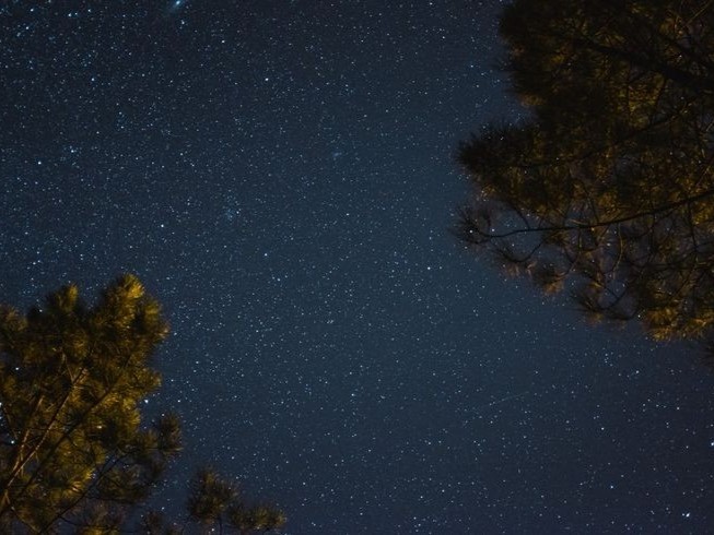 Create meme: starry sky, starry sky in the forest, night starry sky