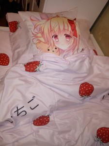 Create meme: cushions hug anime, dakimakura meme, dakimakura RAM