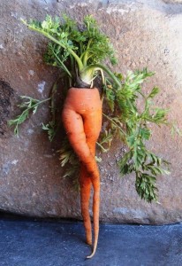Создать мем: молодая морковка, смешные овощи, прикольная морковка
