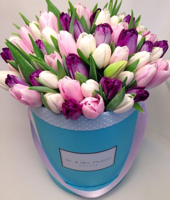 Create meme: tulips , a bouquet of tulips, tulips in a box