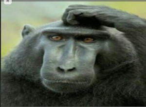 Создать мем: обезьяна, обезьяна чешет голову маугли, обезьяна думает