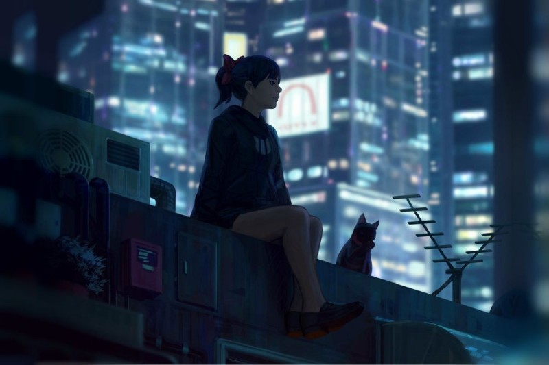 Create meme: figure , man on the roof art, roof at night anime