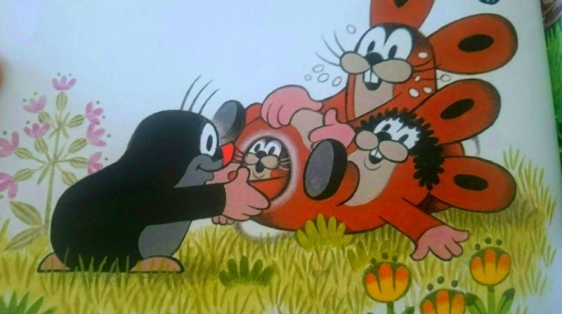 Create meme: the mole from the cartoon, The mole cartoon, polish mole cartoon