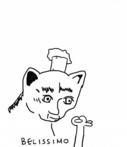 Create meme: meme cat Belissimo, Cook