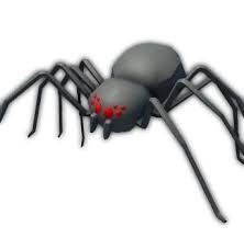 Create meme: a black widow spider, spider