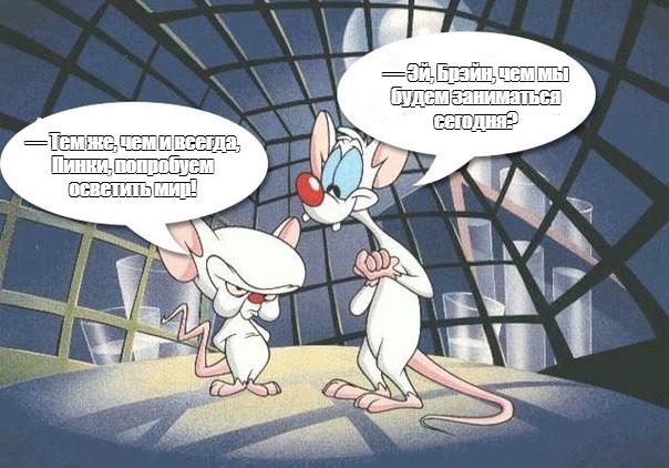 Create meme: pinky and brain , pinky and brain take over the world, what shall we do