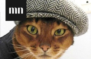 Создать мем: котик в шляпке, шапка паши, коты в кепках