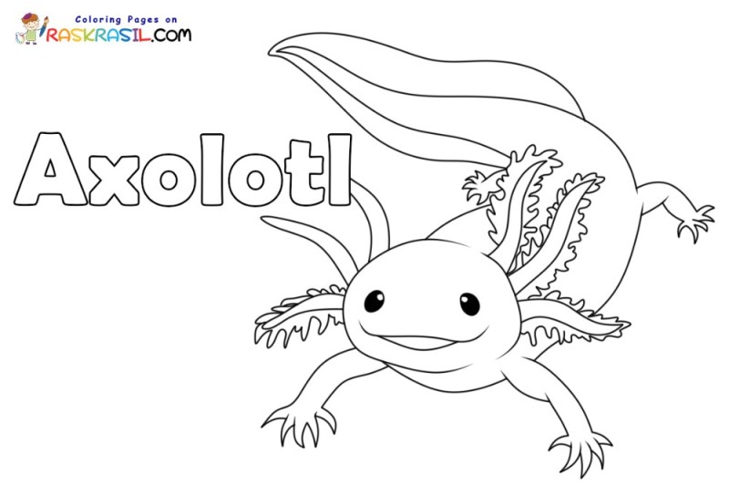 Create meme: axolotl coloring book, axolotl coloring book for kids, axolotl pencil drawing