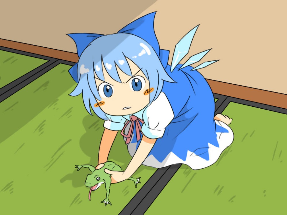Featured image of post Cirno Touhou Meme The best gifs for touhou meme