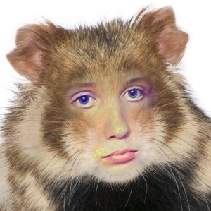 Create meme: monkey, hamster