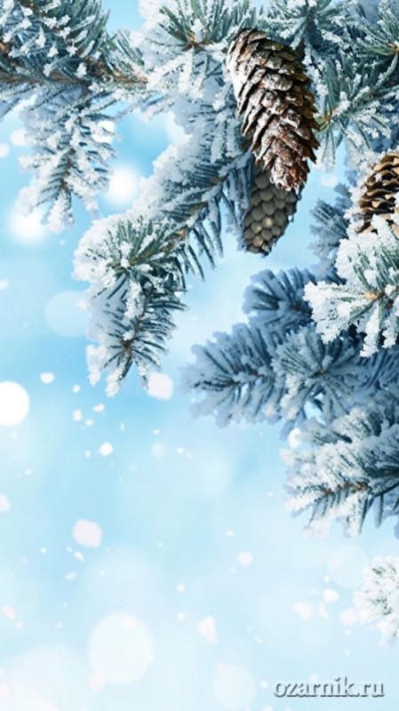 Create meme: winter background, winter background, winter snow 