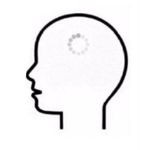 Create meme: the brain icon, head icon, Head contour