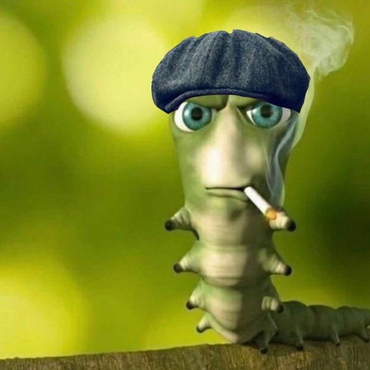 Create meme: caterpillar with a cigarette, the smoking caterpillar, caterpillar with a cigarette meme