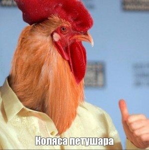 Create meme: cock of petuhovich, cock cock, rooster
