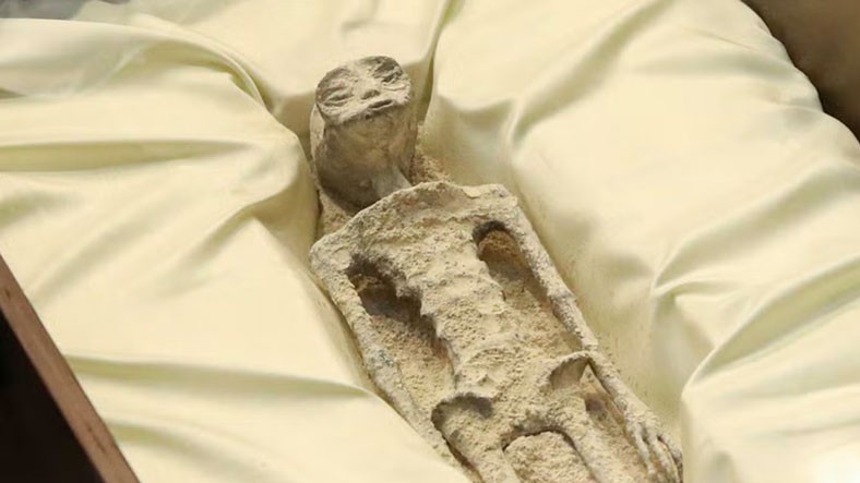 Create meme: skeleton , the mummy's tomb, paleontologist 