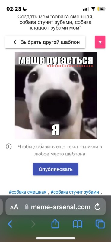 Create meme: dog shivers meme, memes , dog funny