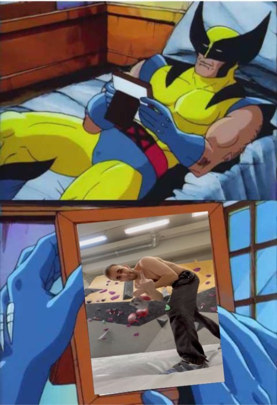 Create meme: Wolverine looks at, wolverine crush, the wolverine meme