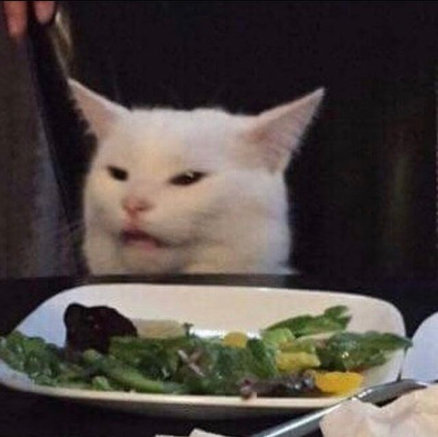 Create meme: cat meme , cat fu meme, cat with salad meme