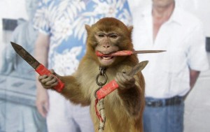 Create meme: a monkey with a gun, a monkey with a knife