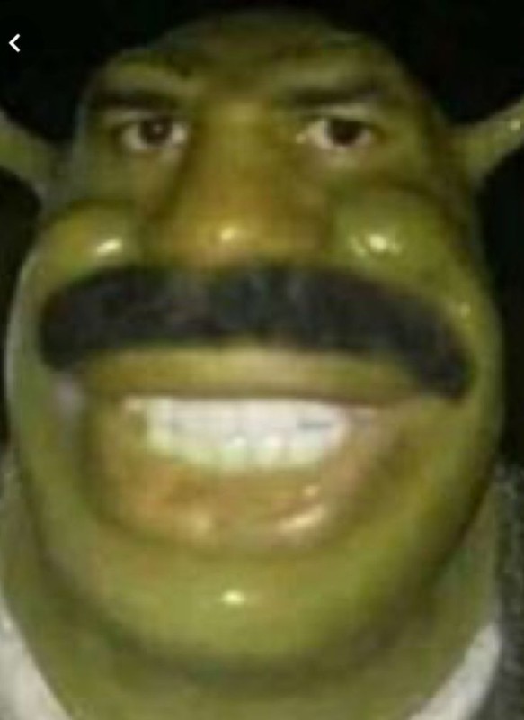 Create meme: shrek meme, shrek with a georgian mustache, Shrek meme 