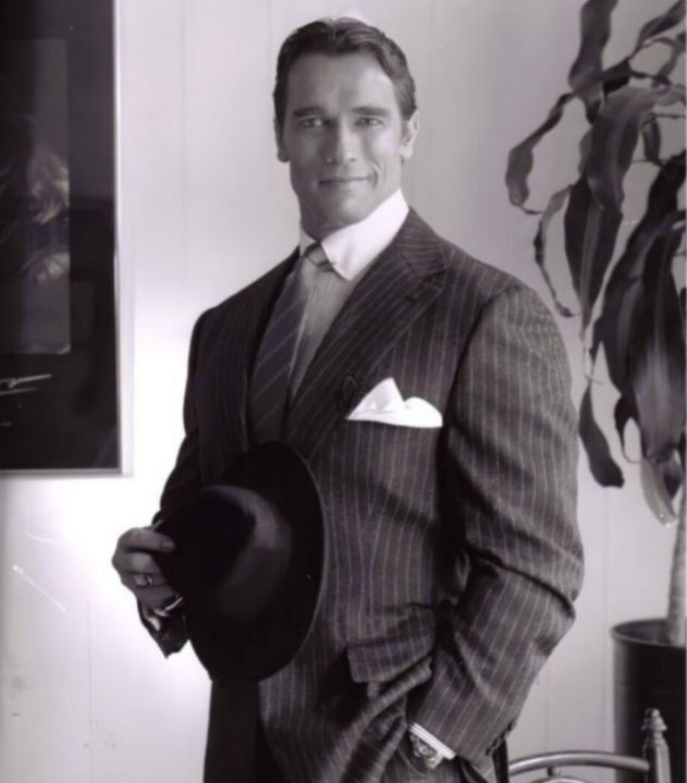 Create meme: Arnold Schwarzenegger in a suit in his youth, Arnold Schwarzenegger , james bond blu-ray cover