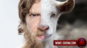 Create meme: sheep, goat face, goat