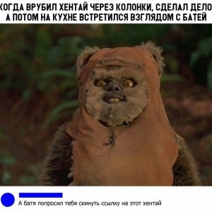 Создать мем: мемы, эвоки фото, ewok