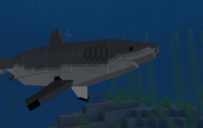 Create meme: shark in minecraft, minecraft underwater world, shark in minecraft