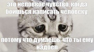Создать мем: самый грустный кот в мире, грустно, кошка луху
