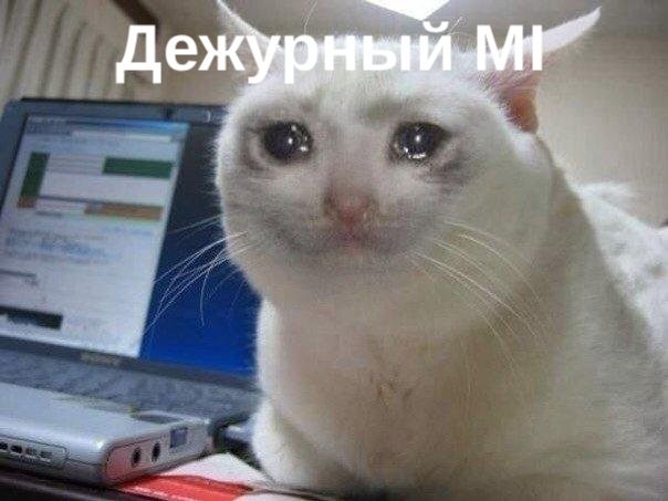 Create meme: sad cat meme, meme crying cat, crying cat meme original