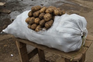 Создать мем: картофель, картофель крупный, мешок картошки