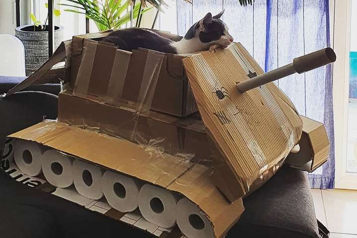 Создать мем: сделать танк из картона, картонный танк для кота, танк из коробки
