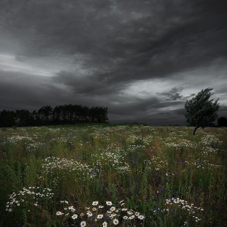 Create meme: thunderstorm landscape, before the rain, the sky before the rain