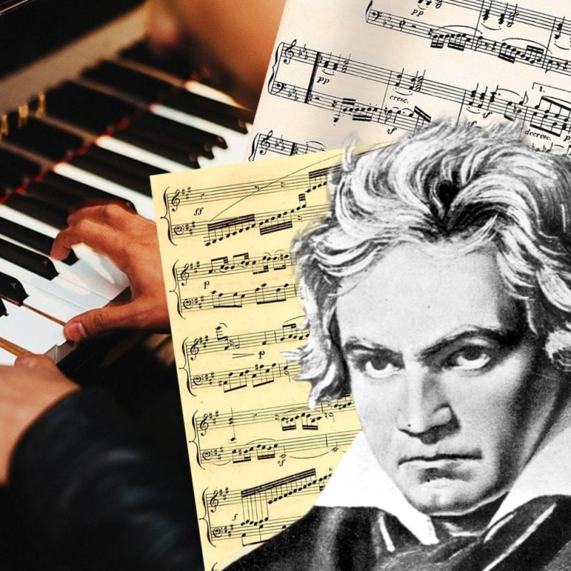 Create meme: Ludwig van Beethoven, Ludwig van Beethoven portrait, ludwig van beethoven branch of art