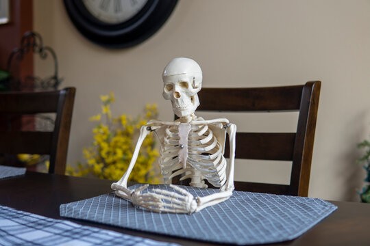 Create meme: the human skeleton, waiting skeleton, a skeleton on a chair