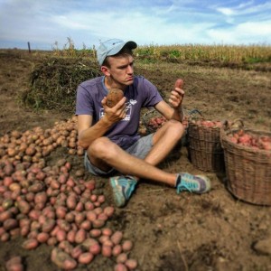 Create meme: potato harvest, peekaboo, to dig potatoes