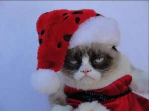Создать мем: злой новогодний кот, я на новый год, недовольный кот в новогодней шапке