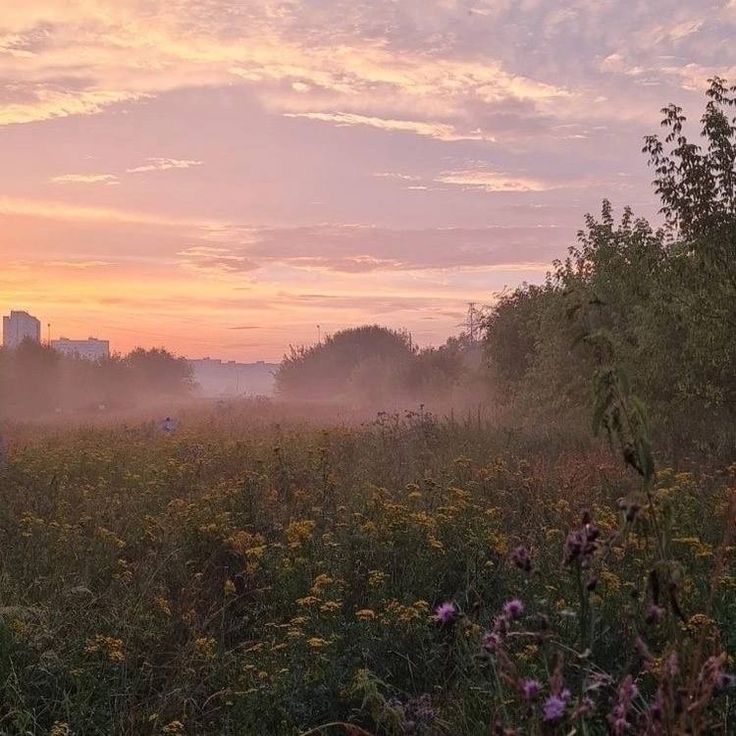 Create meme: morning landscape, morning fog , morning summer