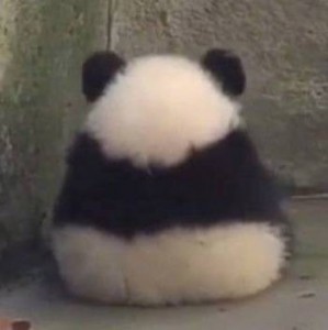 Create meme: toy, panda, panda sleep gif