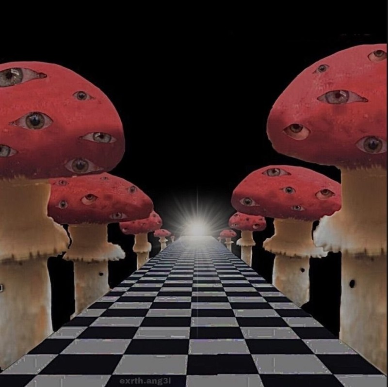 Создать мем: шахматный пол, dreamcore обои, weirdcore странная игра