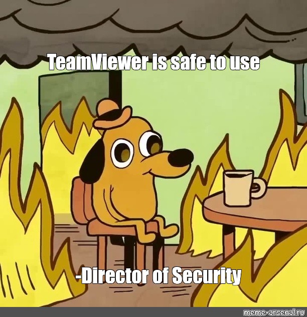 Is Teamviewer Safe