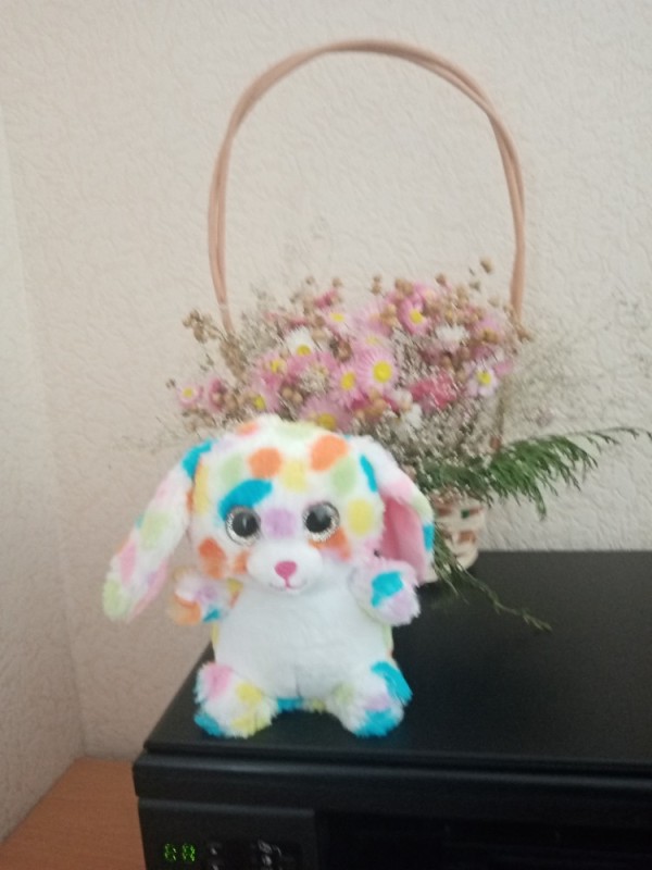 Create meme: stuffed toy ty beanie boos poodle rainbow 15 cm, soft toy abtoys poodle multicolor 15 cm, unic toys glazastik