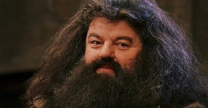 Create meme: Robbie Coltrane is Hagrid, Hagrid Harry Potter, rubeus hagrid