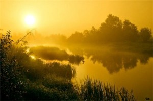 Create meme: sunset, fog, sunrise over the water