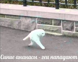Создать мем: неудачные панорамные снимки, кошка, белый кот с ногами мем