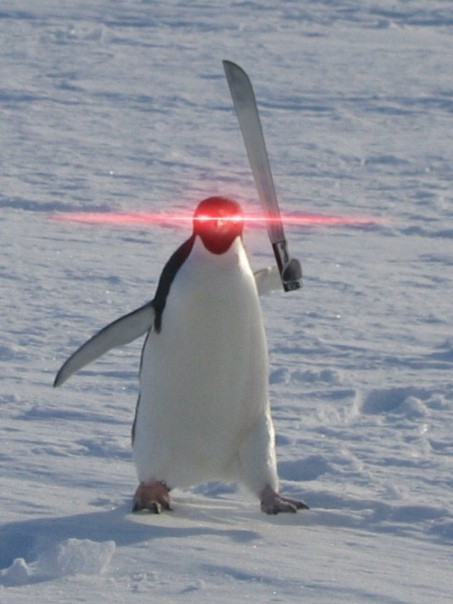 Create meme: flying penguin, penguin with a knife, Emperor penguin 
