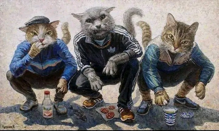Создать мем: гопники, кот кошка, русские гопники