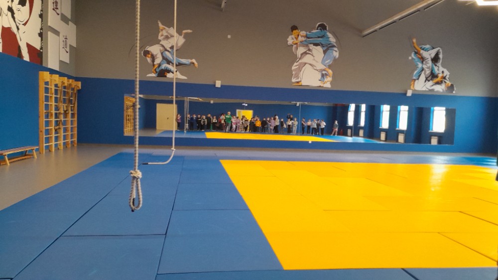 Create meme: judo hall, tatami for judo, judo carpet