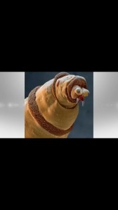 Create meme: the nipple under the microscope, the larva of a fly under a microscope, the worm under the microscope