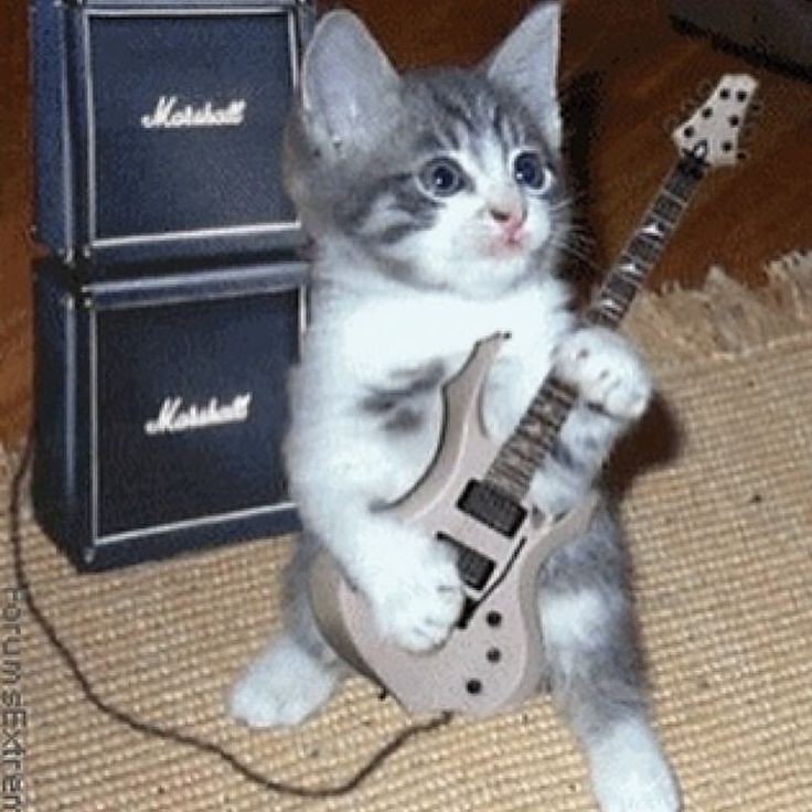 Создать мем: котик с электрогитарой, кот гитарист, кот с электрогитарой